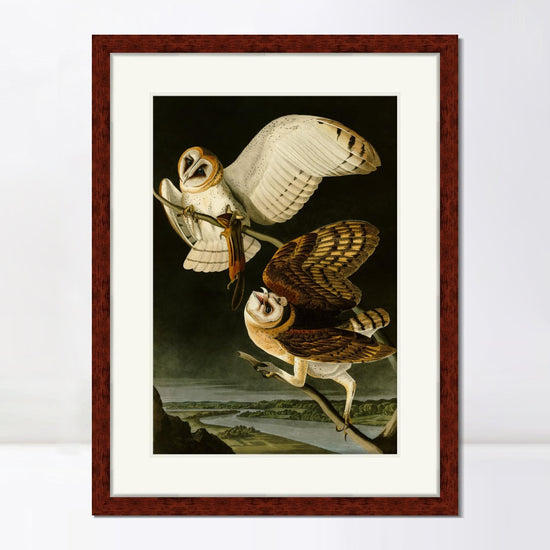 INVIN ART Framed Canvas Art Giclee Print Barn Owl by John James AudubonHome Office Wall Art Decorations