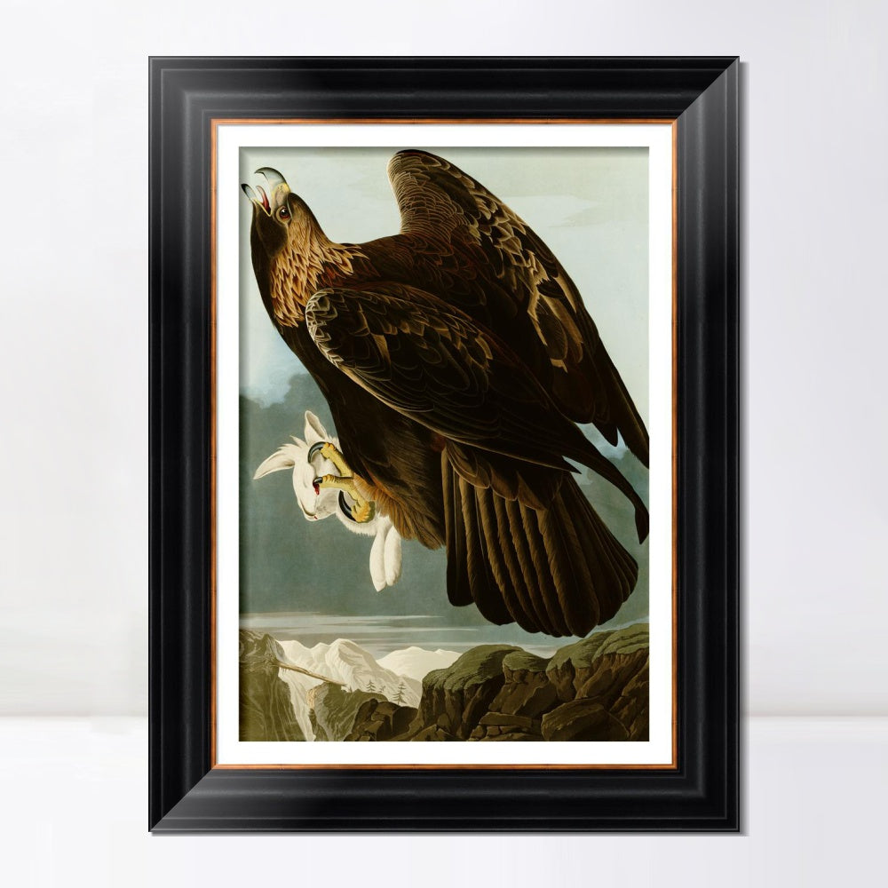 INVIN ART Framed Canvas Art Giclee Print Series#118 by John James Audubon  Home Office Wall Art Decorations