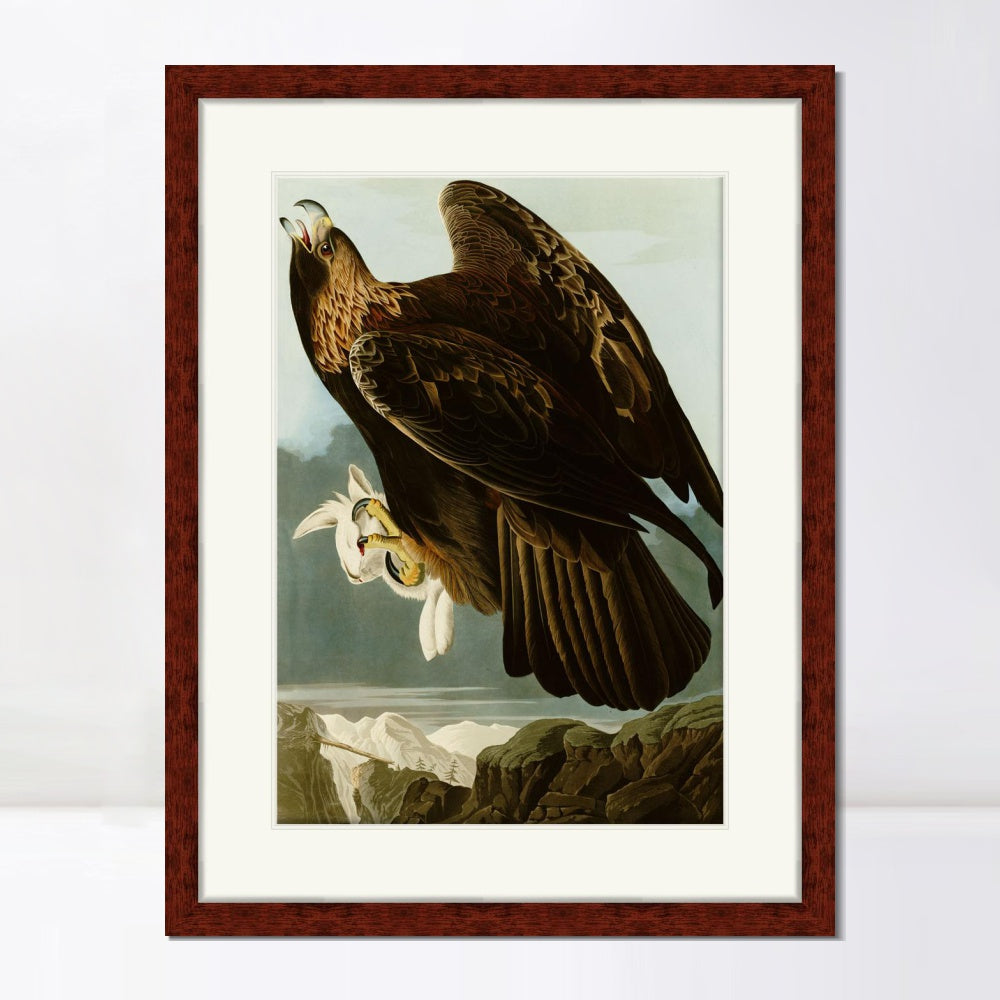 INVIN ART Framed Canvas Art Giclee Print Series#118 by John James Audubon  Home Office Wall Art Decorations