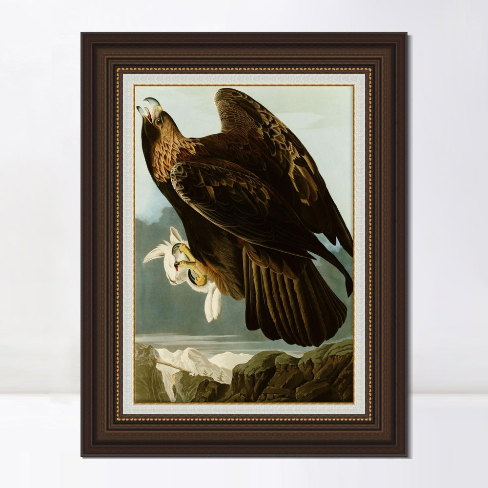 INVIN ART Framed Canvas Art Giclee Print Series#118 by John James Audubon  Home Office Wall Art Decorations