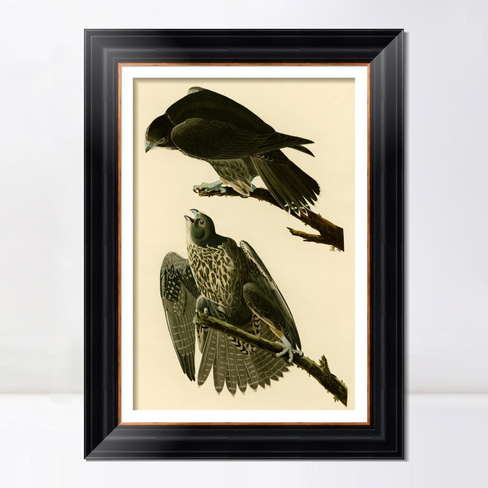 INVIN ART Framed Canvas Art Giclee Print Series#119 by John James Audubon  Home Office Wall Art Decorations