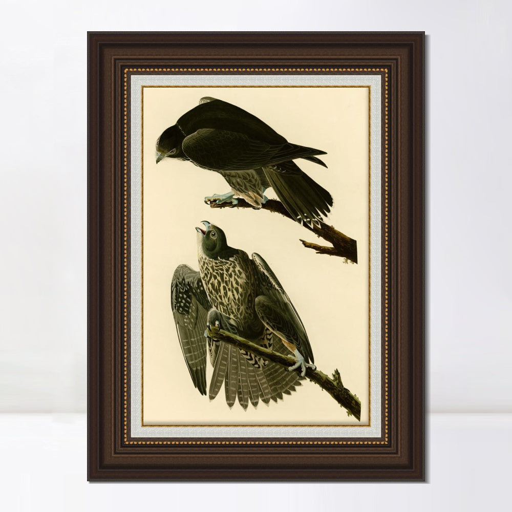 INVIN ART Framed Canvas Art Giclee Print Series#119 by John James Audubon  Home Office Wall Art Decorations