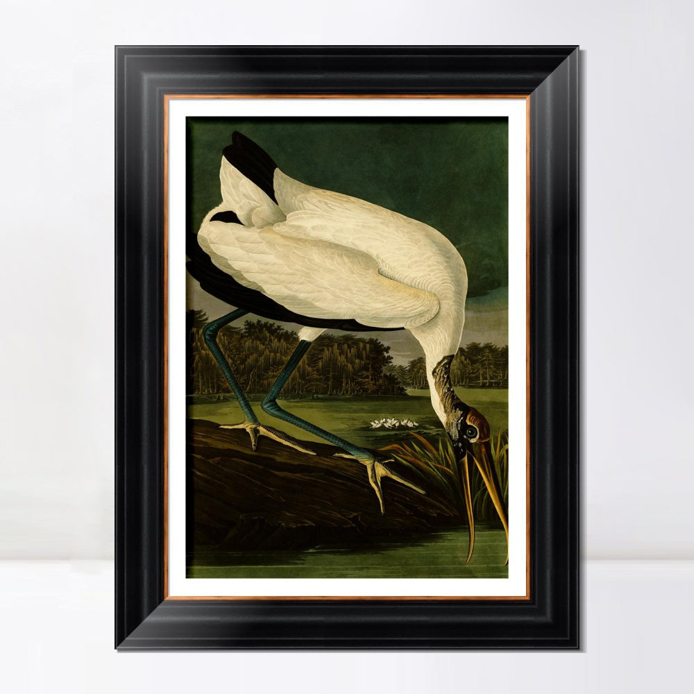 INVIN ART Framed Canvas Art Giclee Print Wood Ibis by John James Audubon  Home Office Wall Art Decorations