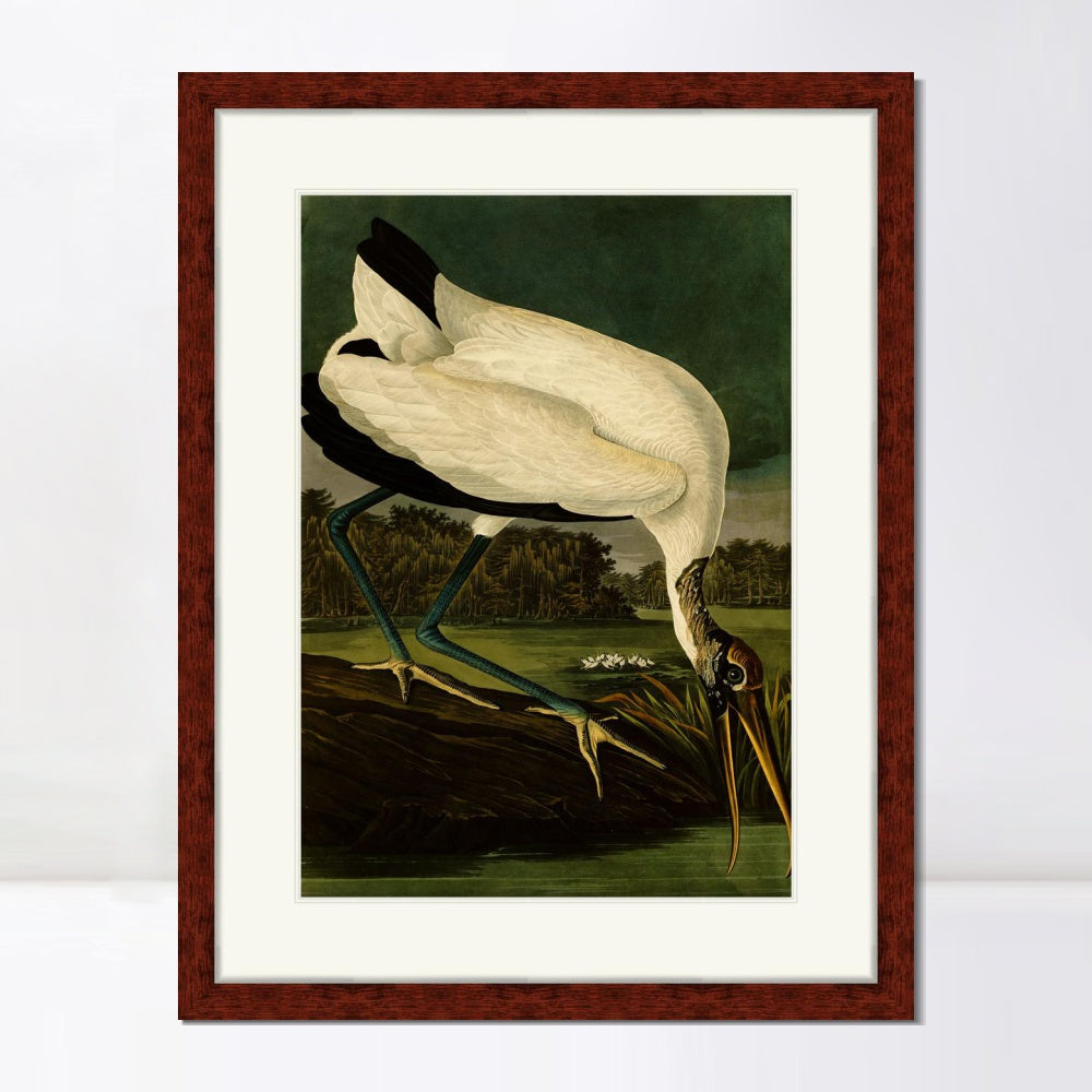 INVIN ART Framed Canvas Art Giclee Print Wood Ibis by John James Audubon  Home Office Wall Art Decorations