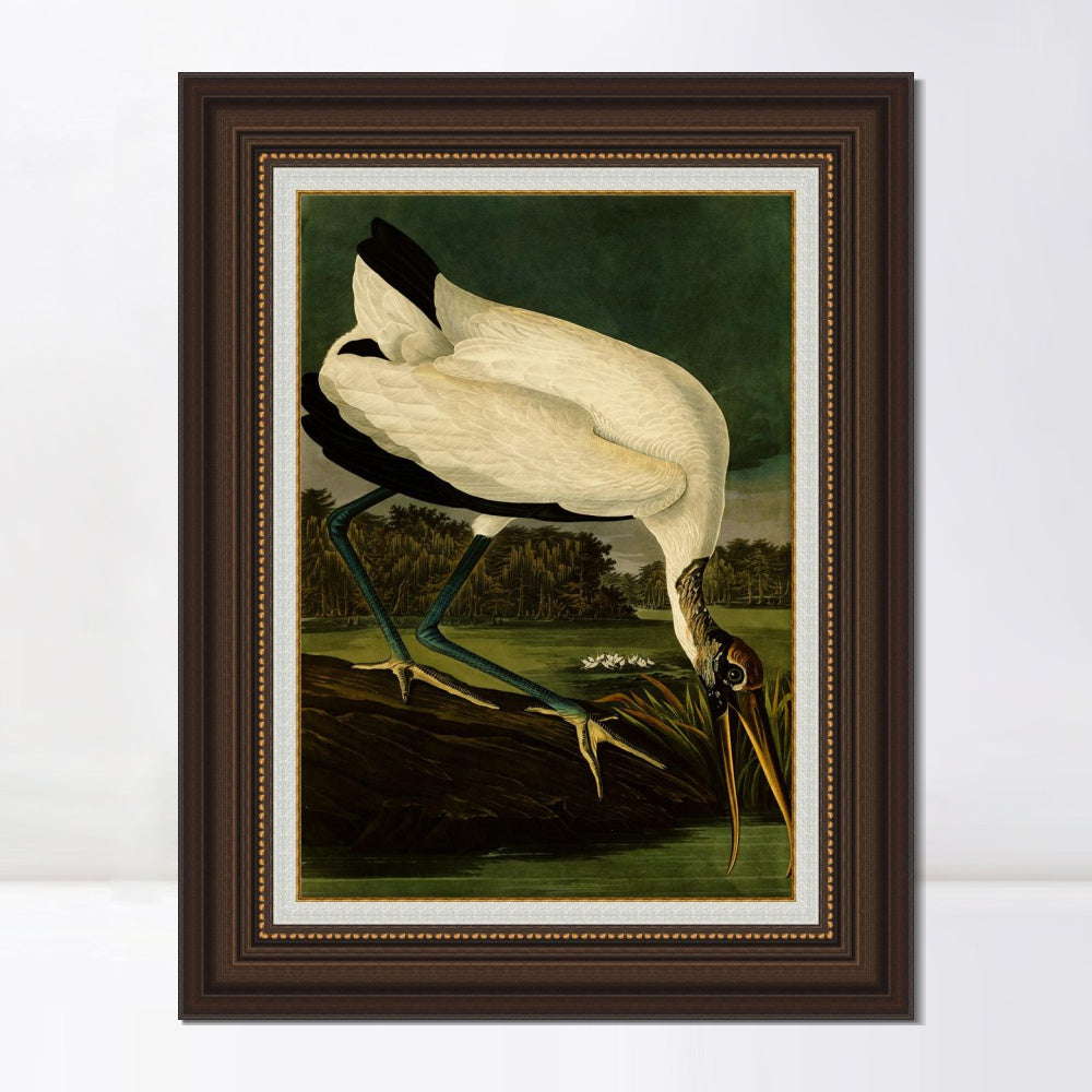 INVIN ART Framed Canvas Art Giclee Print Wood Ibis by John James Audubon  Home Office Wall Art Decorations
