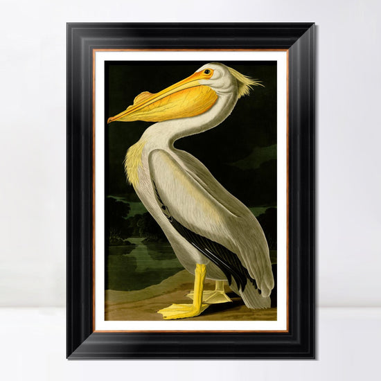 INVIN ART Framed Canvas Art Giclee Print American White Pelican by John James AudubonHome Office Wall Art Decorations