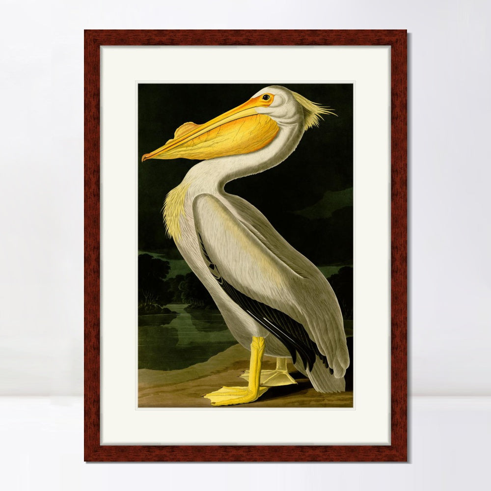 INVIN ART Framed Canvas Art Giclee Print American White Pelican by John James Audubon  Home Office Wall Art Decorations