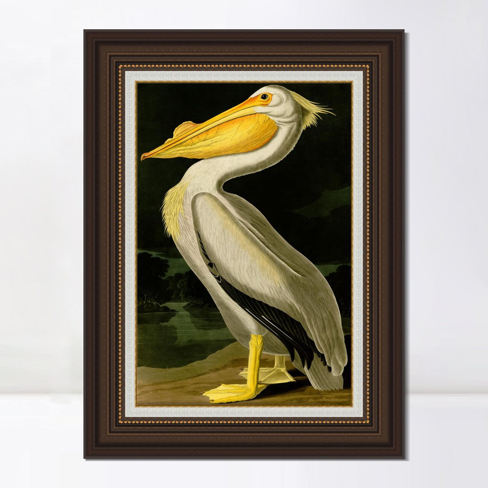 INVIN ART Framed Canvas Art Giclee Print American White Pelican by John James Audubon  Home Office Wall Art Decorations
