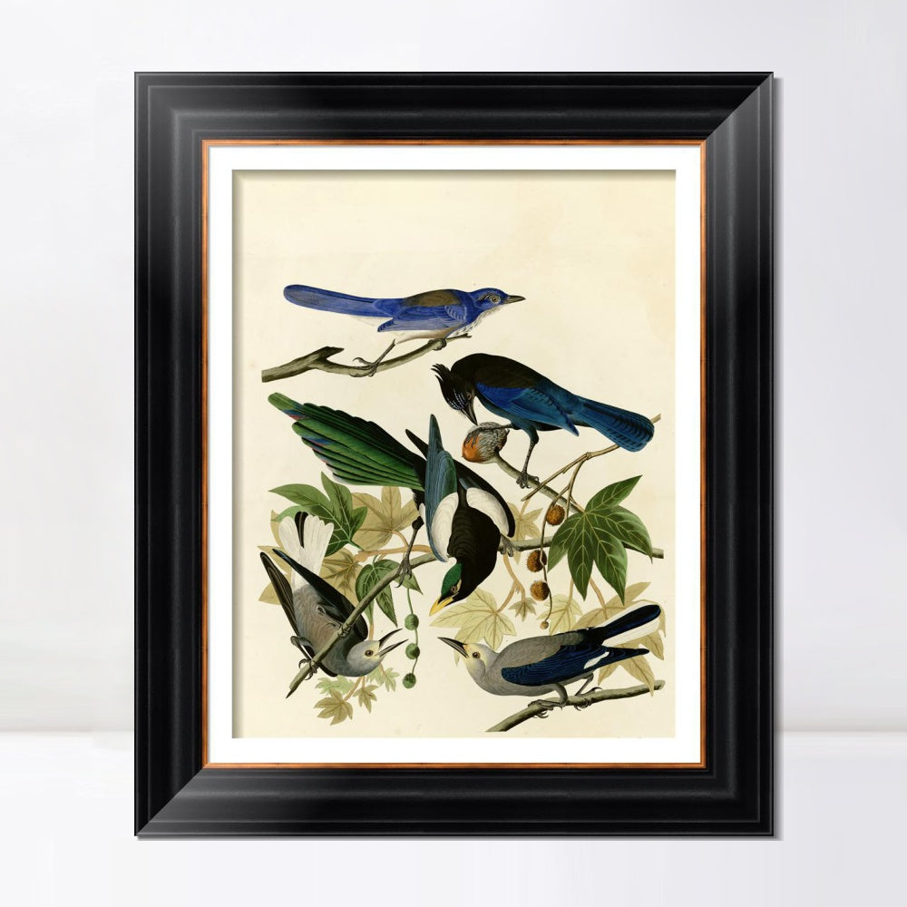 INVIN ART Framed Canvas Art Giclee Print Series#124 by John James Audubon  Home Office Wall Art Decorations