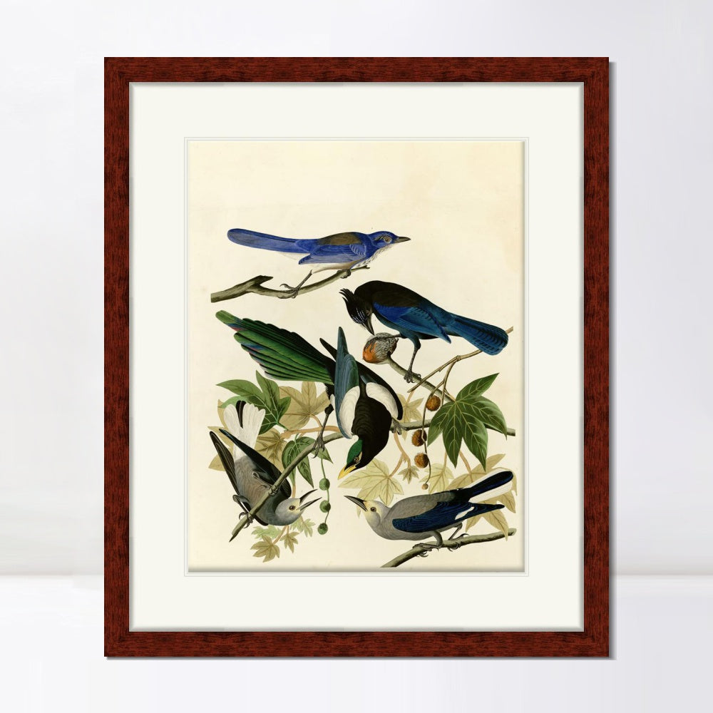 INVIN ART Framed Canvas Art Giclee Print Series#124 by John James Audubon  Home Office Wall Art Decorations