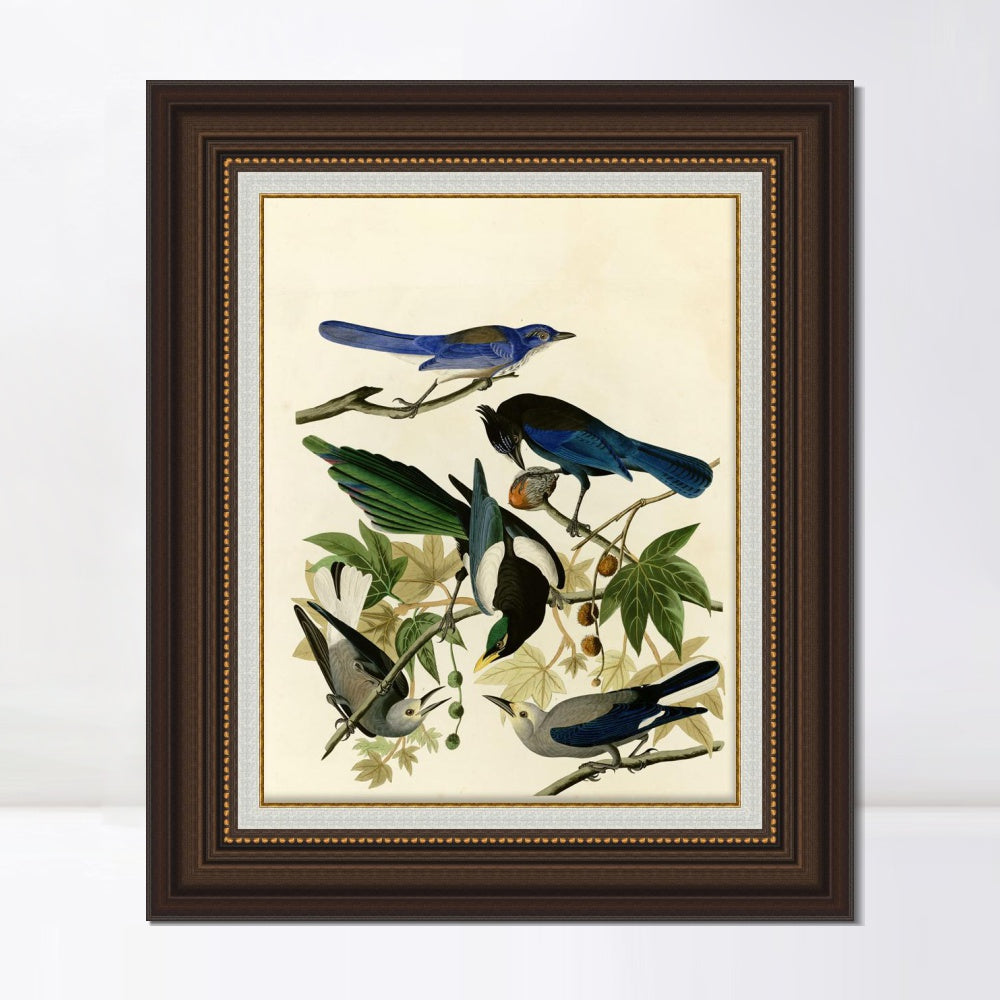 INVIN ART Framed Canvas Art Giclee Print Series#124 by John James Audubon  Home Office Wall Art Decorations