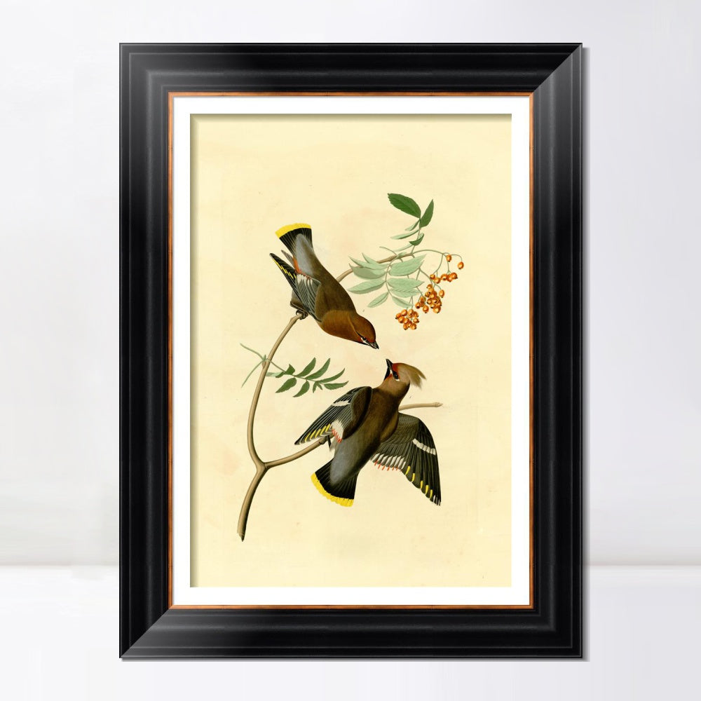 INVIN ART Framed Canvas Art Giclee Print Series#125 by John James Audubon  Home Office Wall Art Decorations