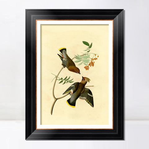 INVIN ART Framed Canvas Art Giclee Print Series#125 by John James Audubon Living Room Home Office Wall Art Decorations