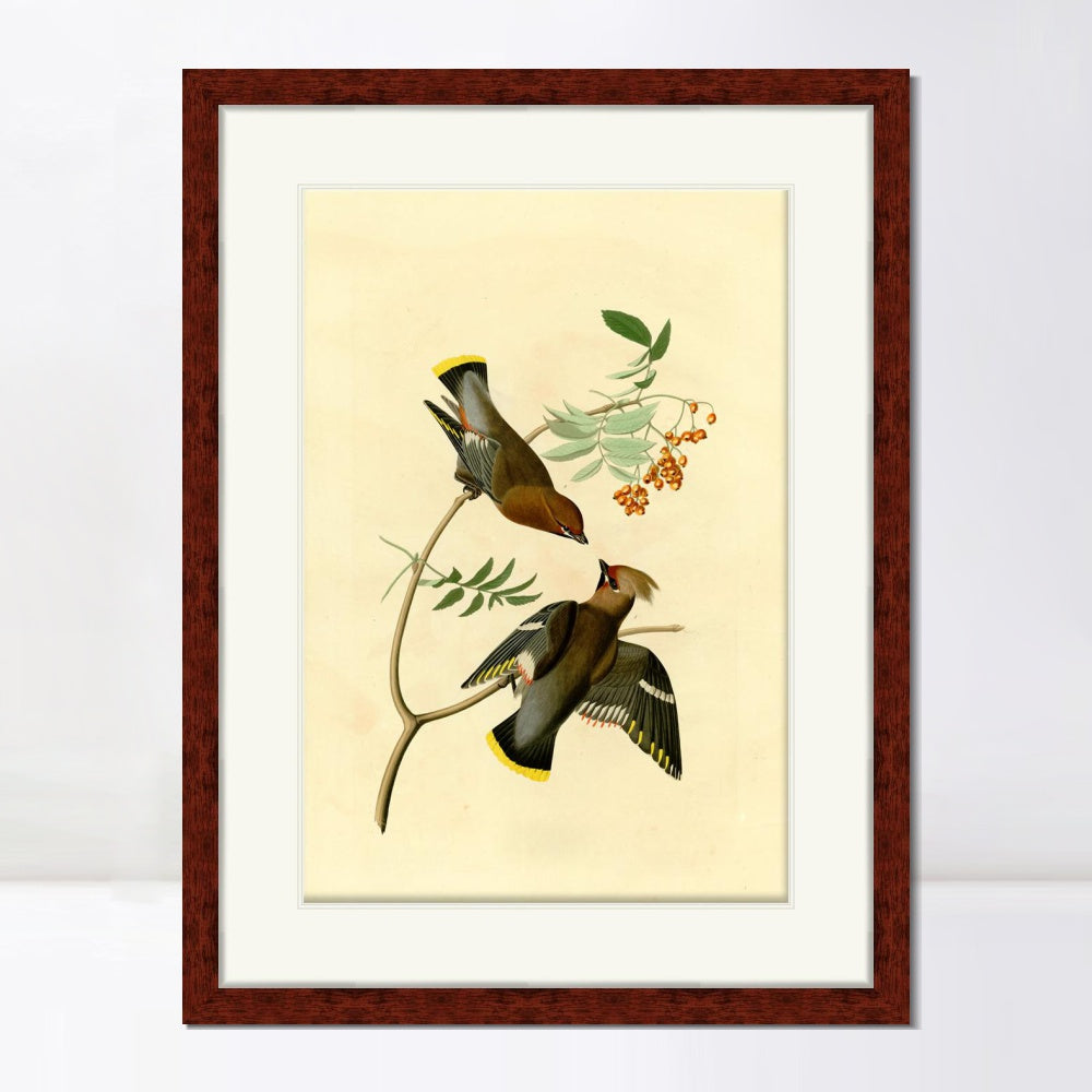 INVIN ART Framed Canvas Art Giclee Print Series#125 by John James Audubon  Home Office Wall Art Decorations