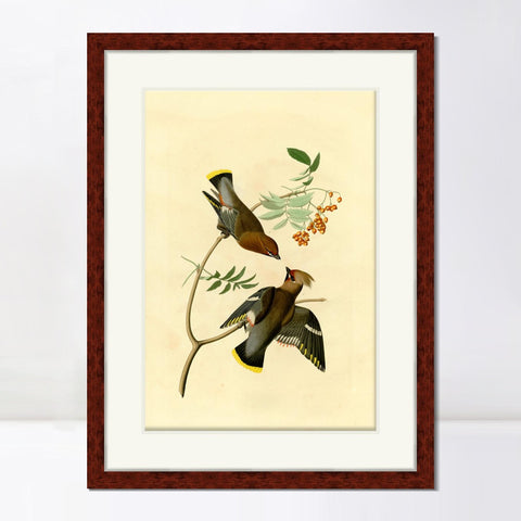 INVIN ART Framed Canvas Art Giclee Print Series#125 by John James Audubon Living Room Home Office Wall Art Decorations