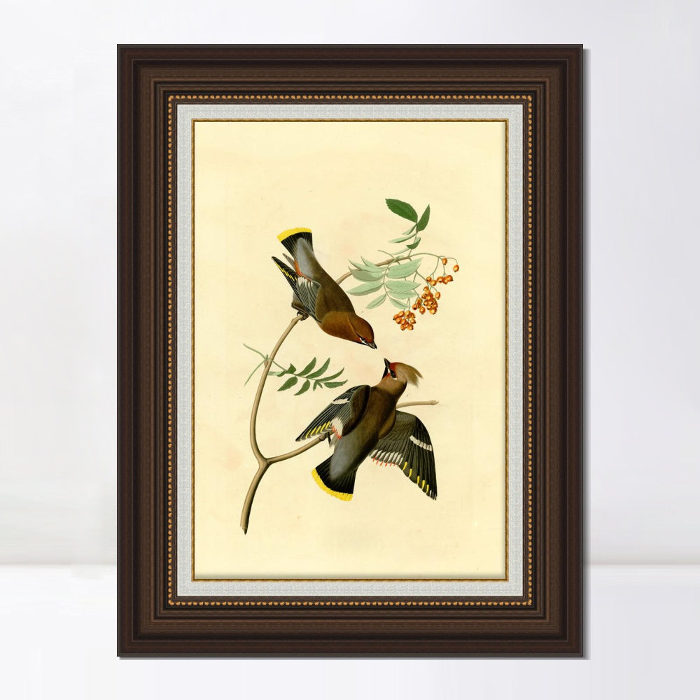 INVIN ART Framed Canvas Art Giclee Print Series#125 by John James Audubon  Home Office Wall Art Decorations
