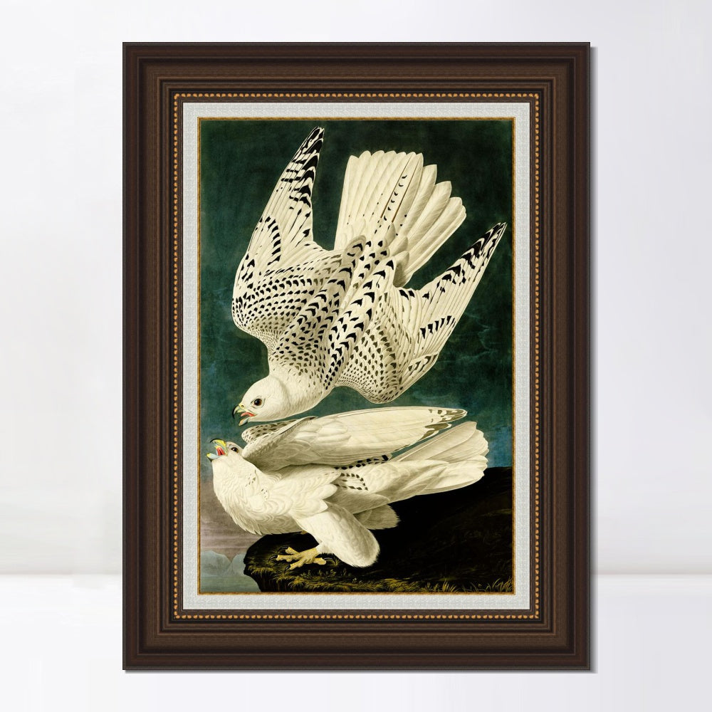 INVIN ART Framed Canvas Art Giclee Print Iceland or Jer Falcon by John James Audubon  Home Office Wall Art Decorations