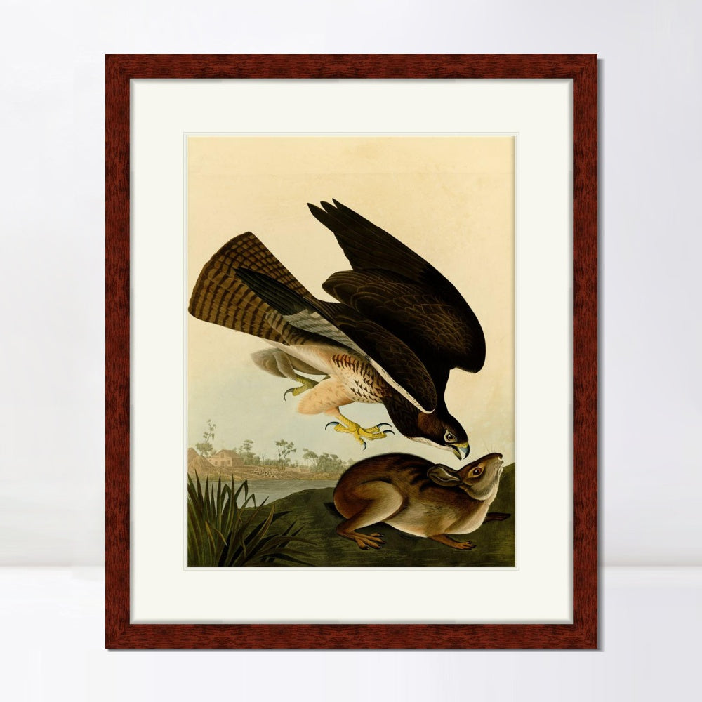 INVIN ART Framed Canvas Art Giclee Print Common Buzzard by John James Audubon  Home Office Wall Art Decorations