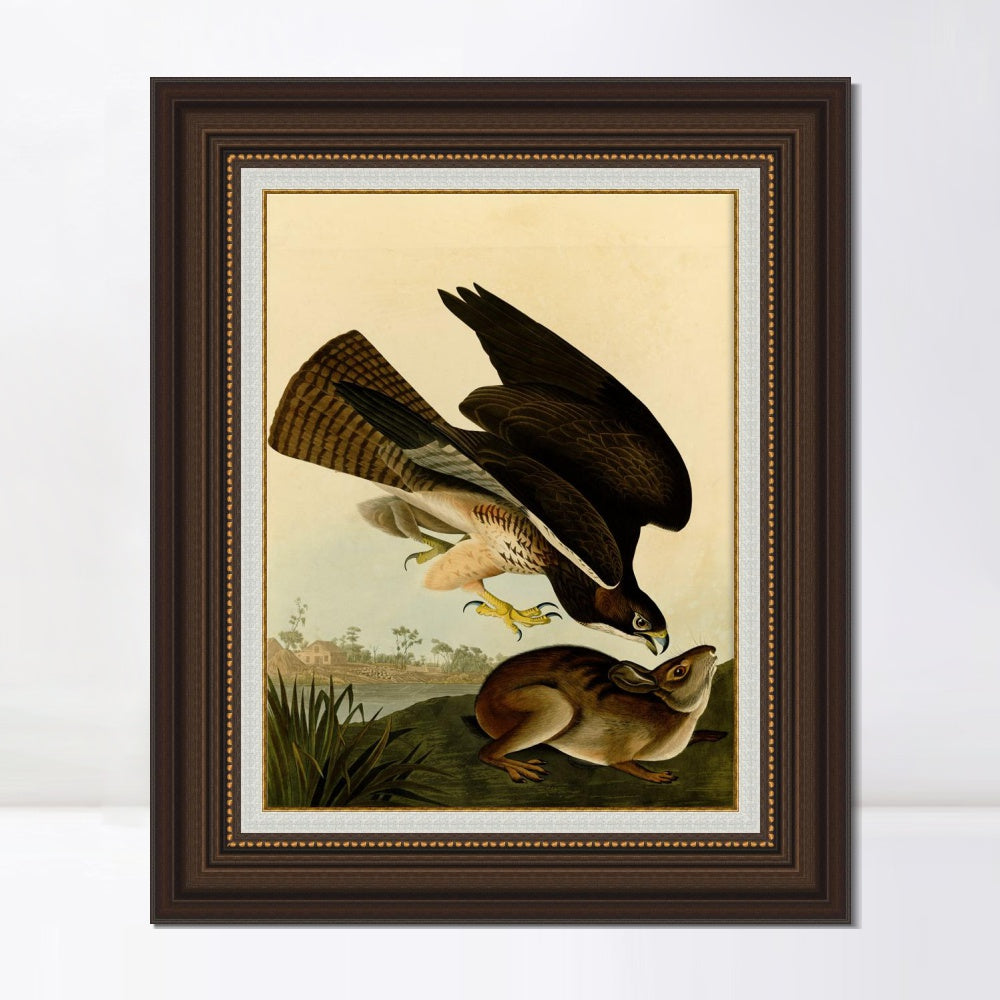 INVIN ART Framed Canvas Art Giclee Print Common Buzzard by John James Audubon  Home Office Wall Art Decorations