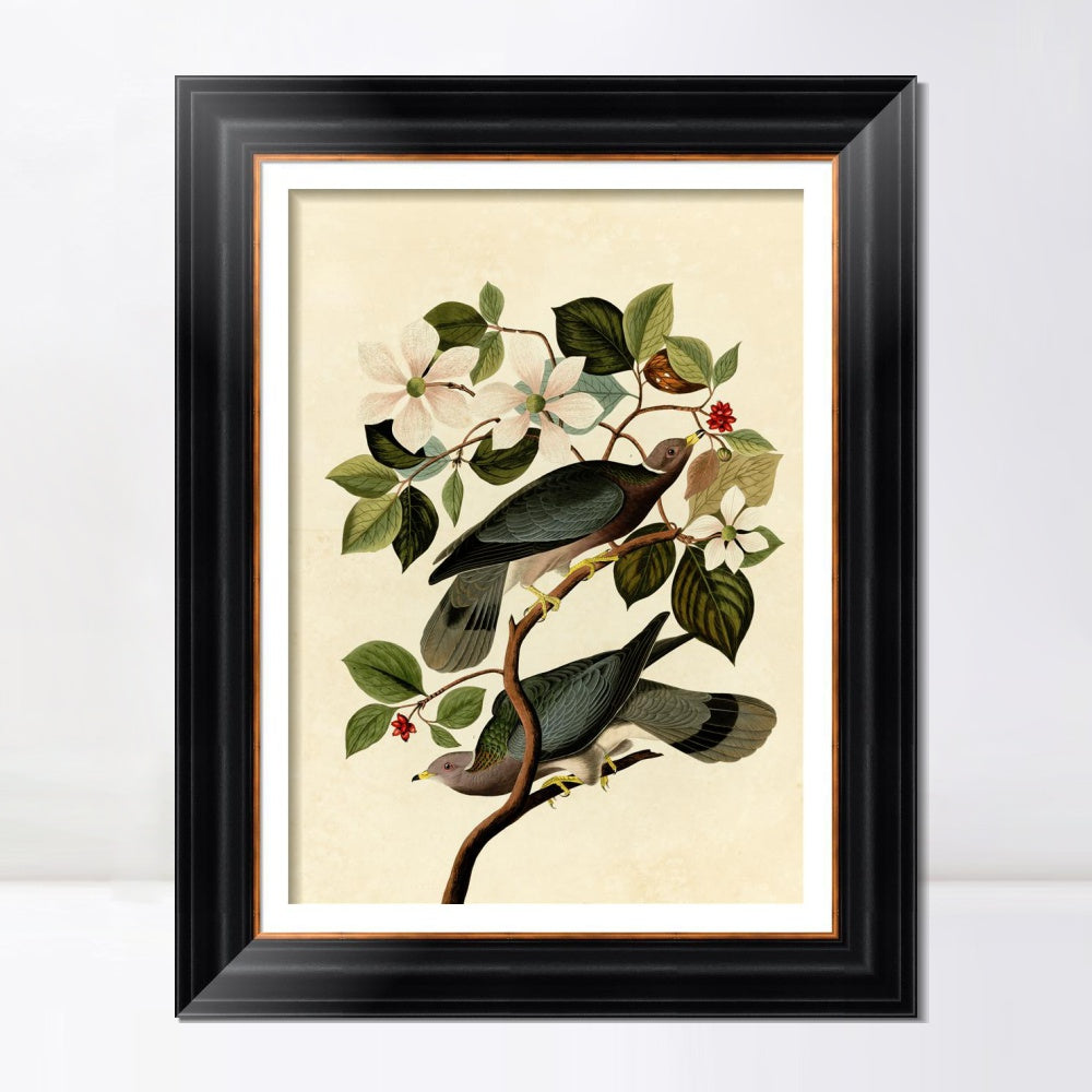 INVIN ART Framed Canvas Art Giclee Print Series#130 by John James Audubon  Home Office Wall Art Decorations
