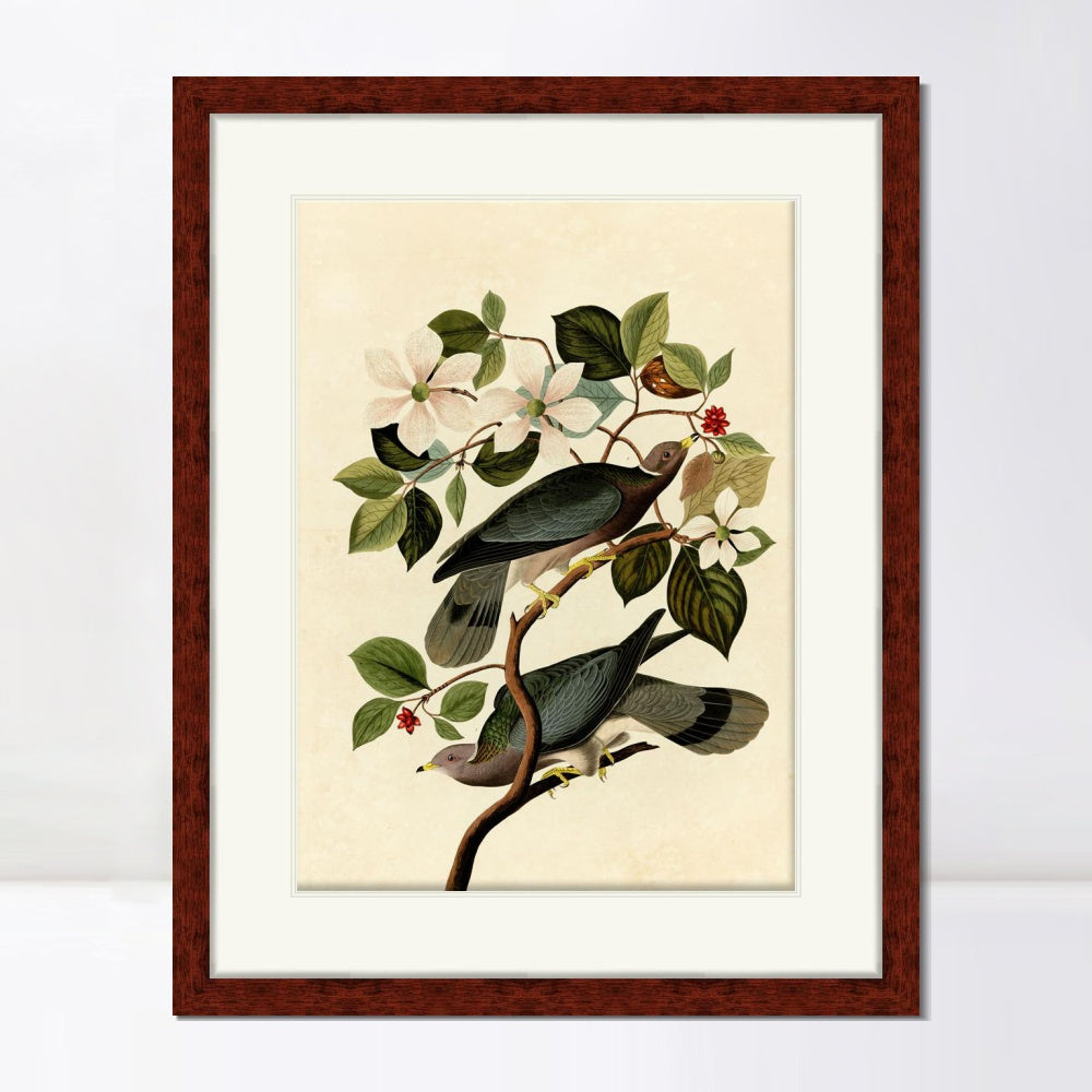 INVIN ART Framed Canvas Art Giclee Print Series#130 by John James Audubon  Home Office Wall Art Decorations