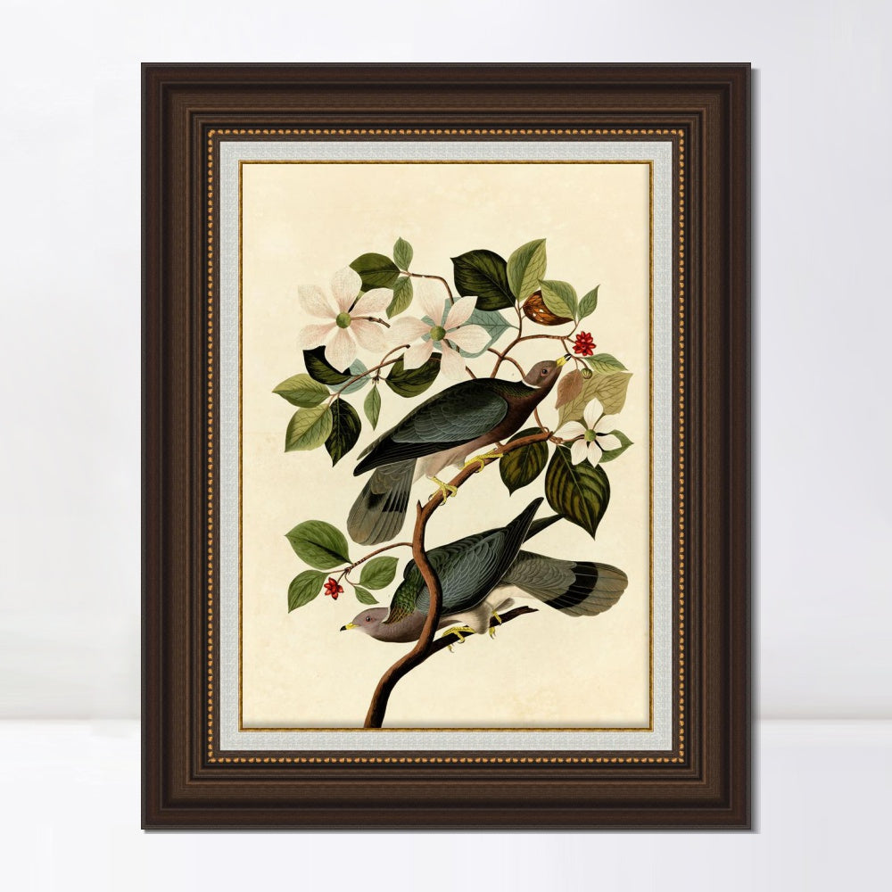 INVIN ART Framed Canvas Art Giclee Print Series#130 by John James Audubon  Home Office Wall Art Decorations