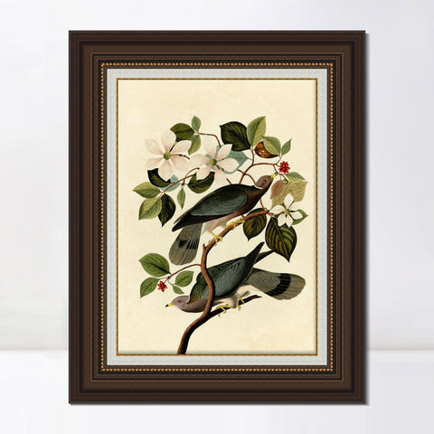 INVIN ART Framed Canvas Art Giclee Print Series#130 by John James Audubon Living Room Home Office Wall Art Decorations