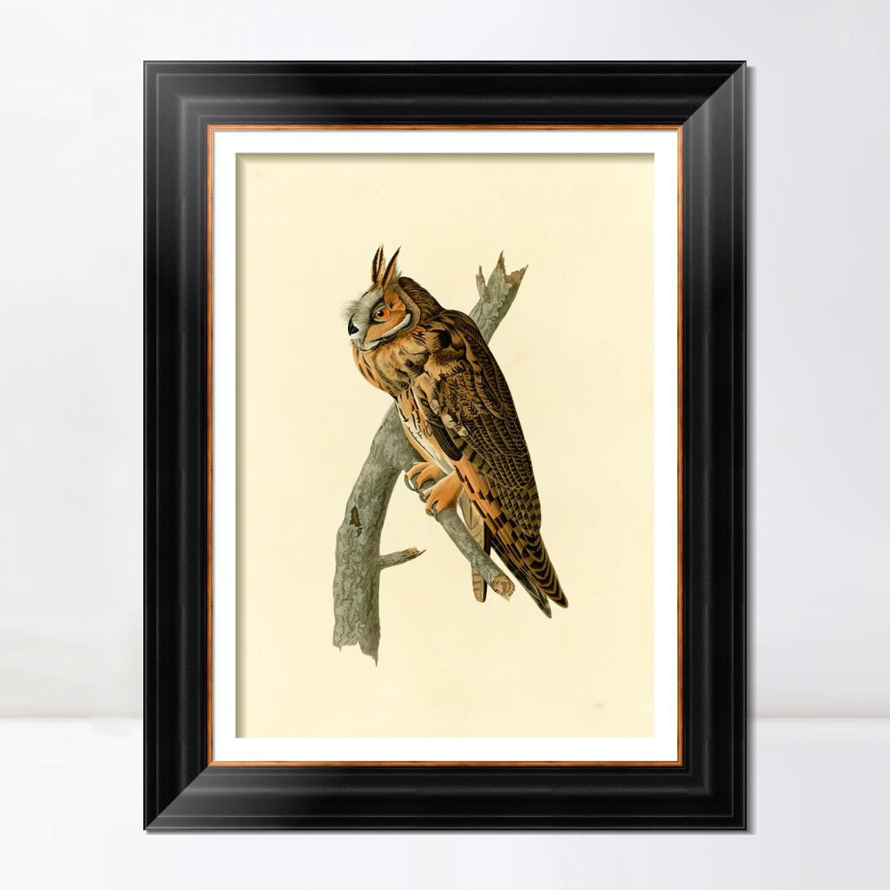 INVIN ART Framed Canvas Art Giclee Print Long eared Owl by John James Audubon  Home Office Wall Art Decorations