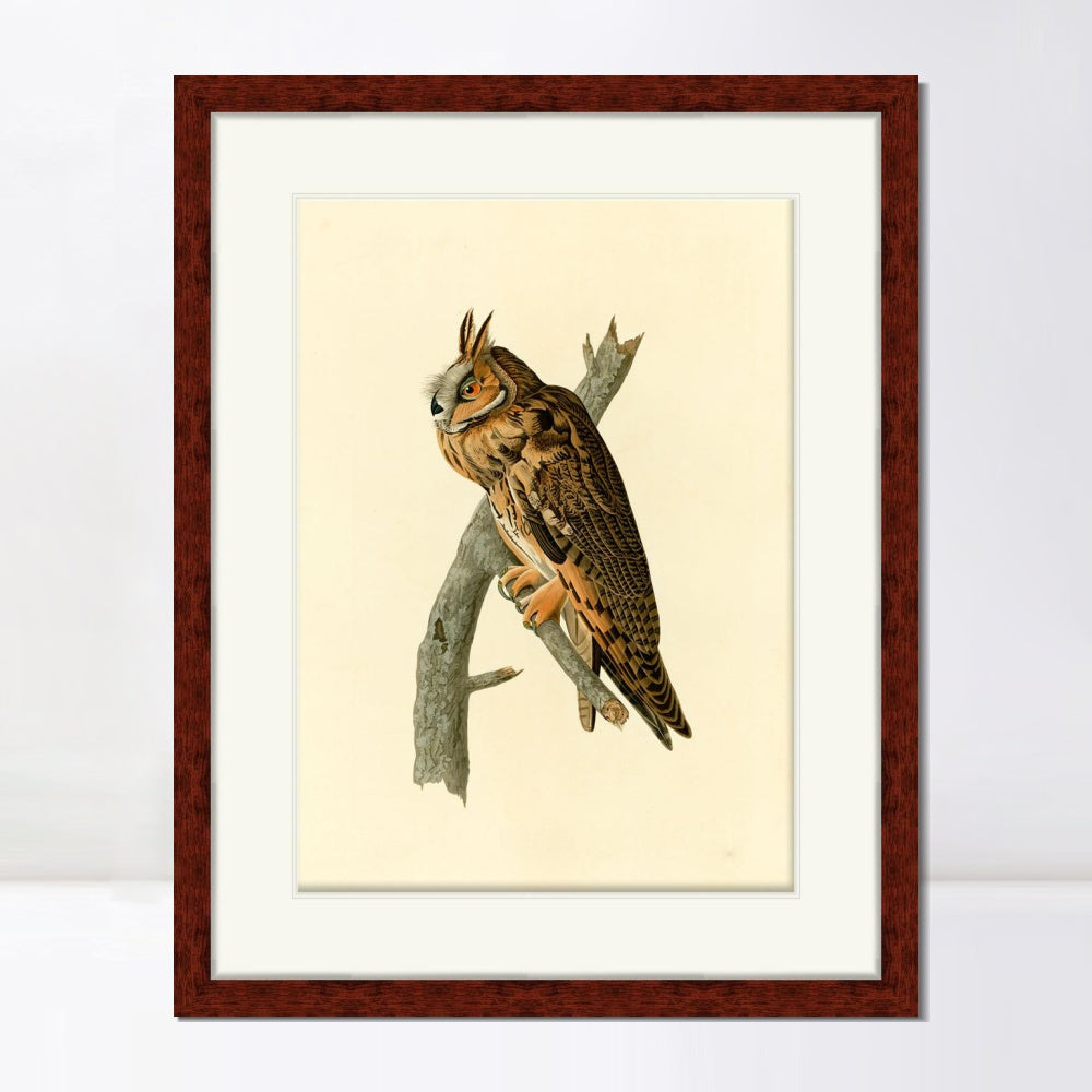 INVIN ART Framed Canvas Art Giclee Print Long eared Owl by John James Audubon  Home Office Wall Art Decorations