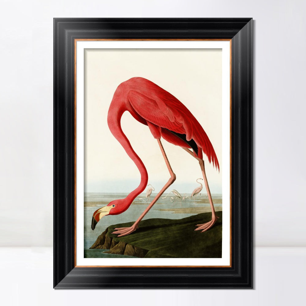 INVIN ART Framed Canvas Art Giclee Print American Flamingo by John James Audubon  Home Office Wall Art Decorations