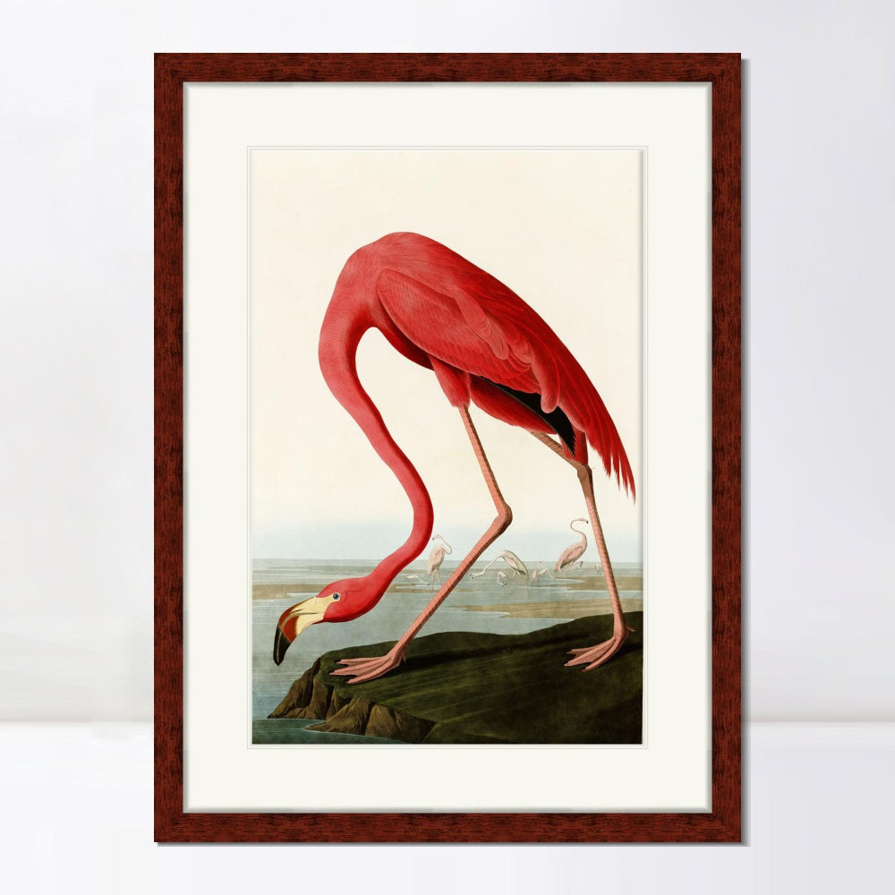 INVIN ART Framed Canvas Art Giclee Print American Flamingo by John James Audubon  Home Office Wall Art Decorations