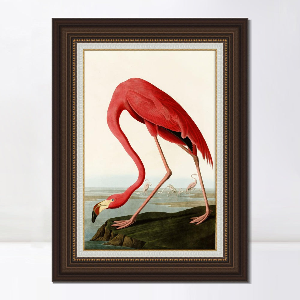INVIN ART Framed Canvas Art Giclee Print American Flamingo by John James Audubon  Home Office Wall Art Decorations