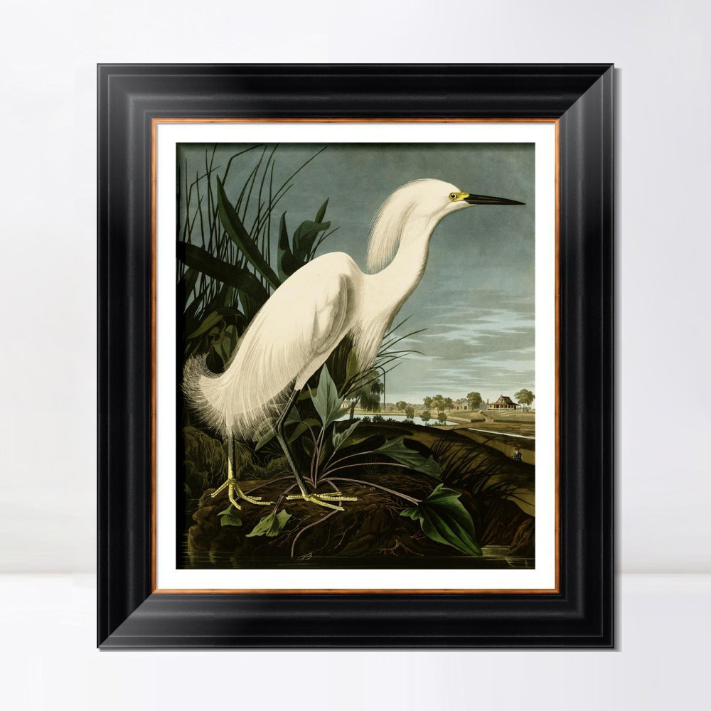 INVIN ART Framed Canvas Art Giclee Print Snowy Heron or White Egret by John James Audubon  Home Office Wall Art Decorations