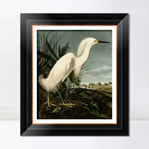 INVIN ART Framed Canvas Art Giclee Print Snowy Heron or White Egret by John James Audubon Living Room Home Office Wall Art Decorations