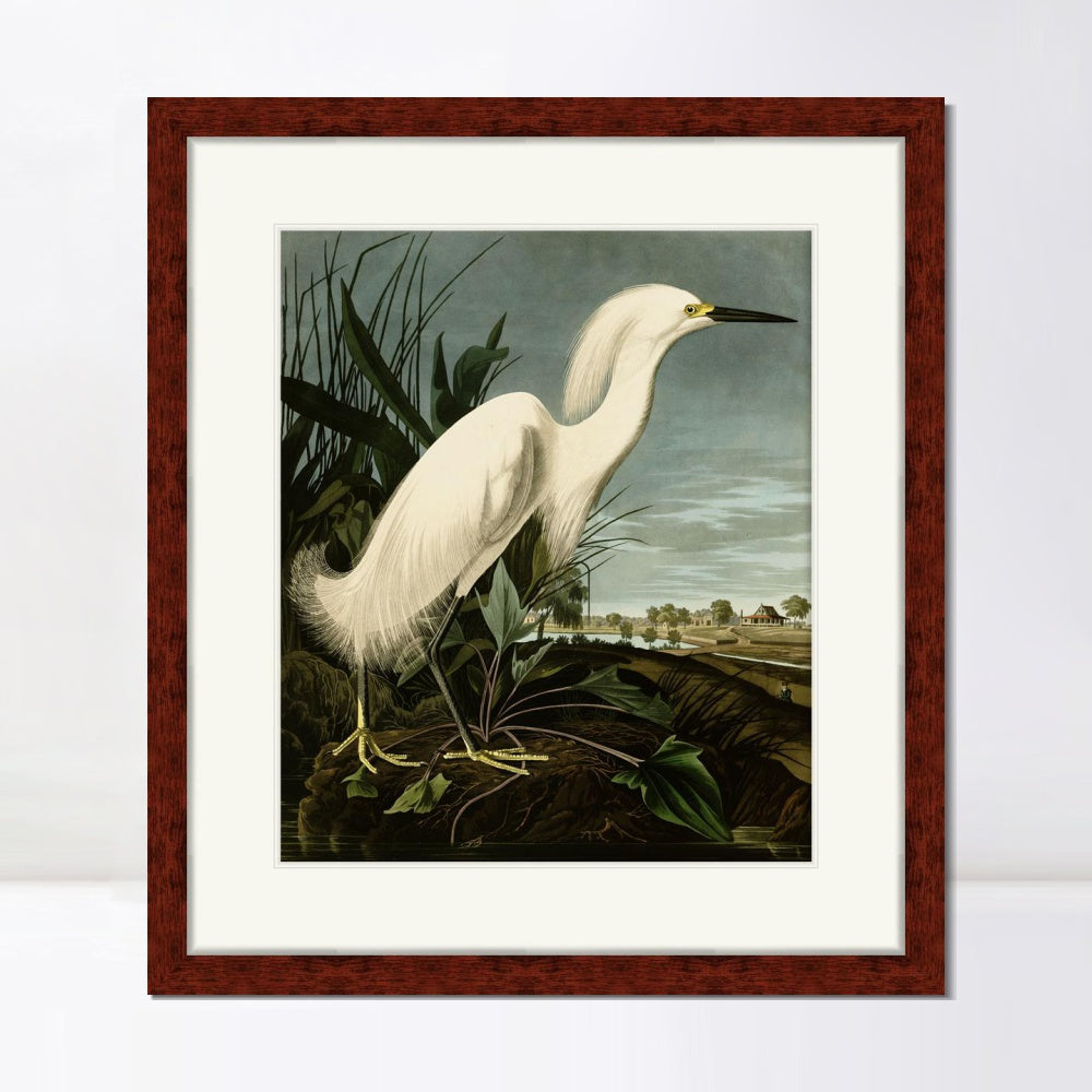 INVIN ART Framed Canvas Art Giclee Print Snowy Heron or White Egret by John James Audubon  Home Office Wall Art Decorations