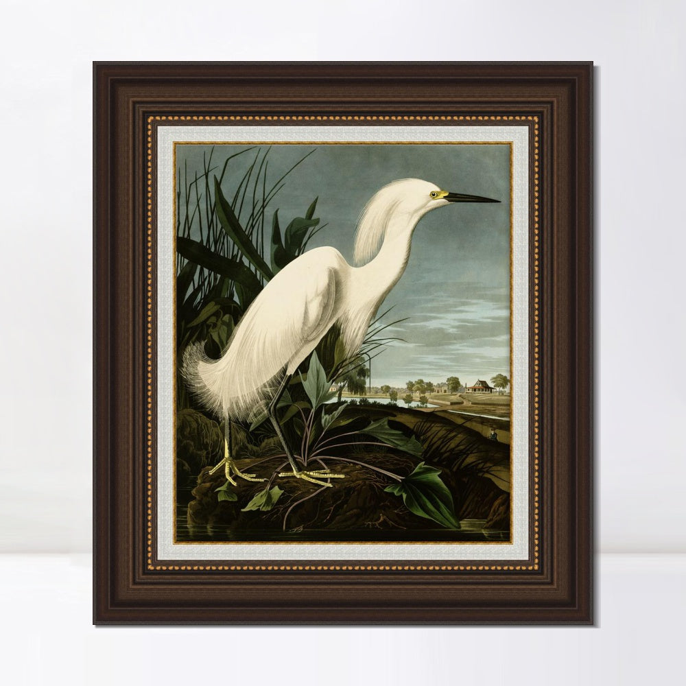 INVIN ART Framed Canvas Art Giclee Print Snowy Heron or White Egret by John James Audubon  Home Office Wall Art Decorations