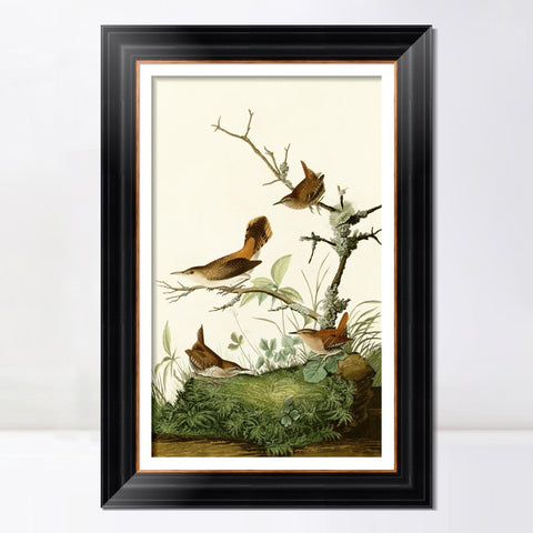 INVIN ART Framed Canvas Art Giclee Print Series#136 by John James Audubon Living Room Home Office Wall Art Decorations