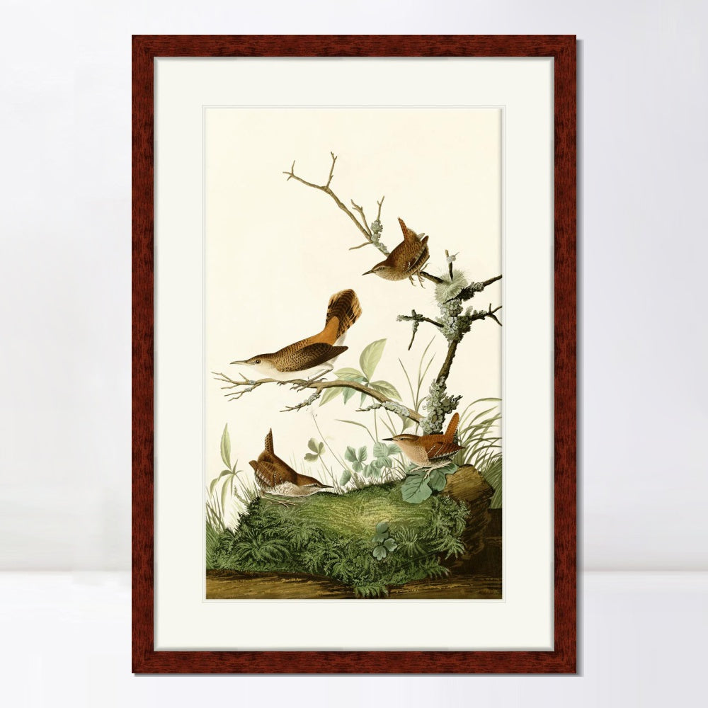 INVIN ART Framed Canvas Art Giclee Print Series#136 by John James Audubon  Home Office Wall Art Decorations