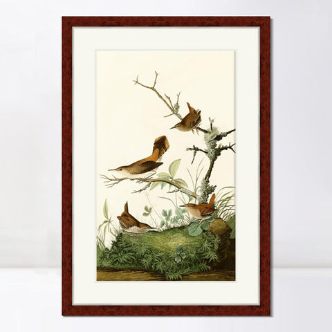 INVIN ART Framed Canvas Art Giclee Print Series#136 by John James Audubon Living Room Home Office Wall Art Decorations