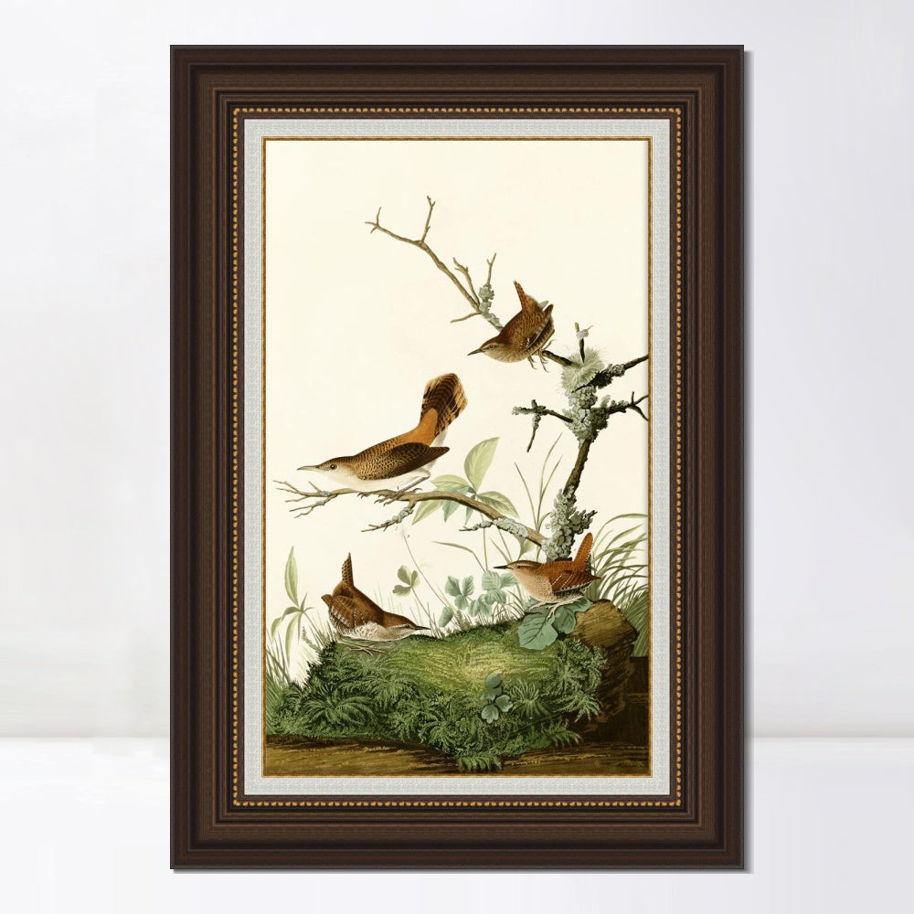 INVIN ART Framed Canvas Art Giclee Print Series#136 by John James Audubon  Home Office Wall Art Decorations