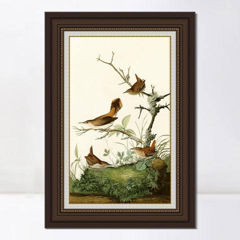 INVIN ART Framed Canvas Art Giclee Print Series#136 by John James Audubon Living Room Home Office Wall Art Decorations