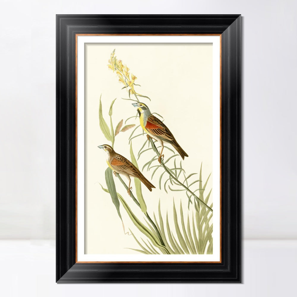 INVIN ART Framed Canvas Art Giclee Print Series#137 by John James Audubon  Home Office Wall Art Decorations