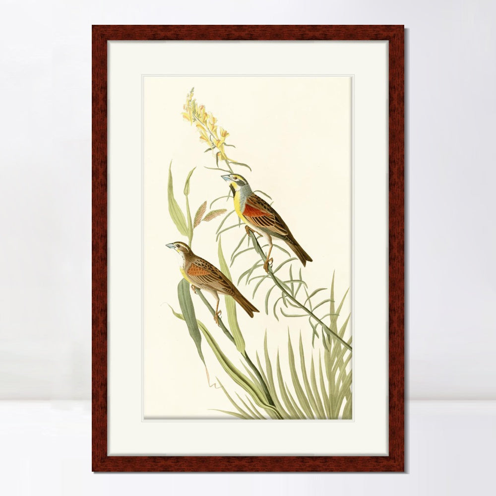 INVIN ART Framed Canvas Art Giclee Print Series#137 by John James Audubon  Home Office Wall Art Decorations