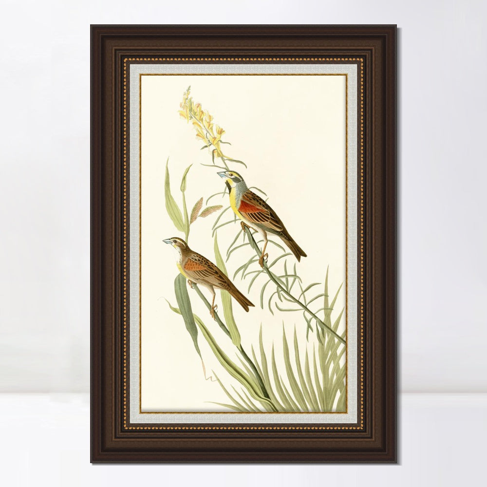 INVIN ART Framed Canvas Art Giclee Print Series#137 by John James Audubon  Home Office Wall Art Decorations