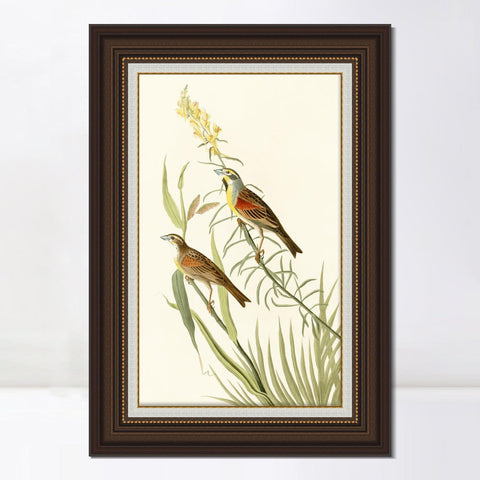 INVIN ART Framed Canvas Art Giclee Print Series#137 by John James Audubon Living Room Home Office Wall Art Decorations