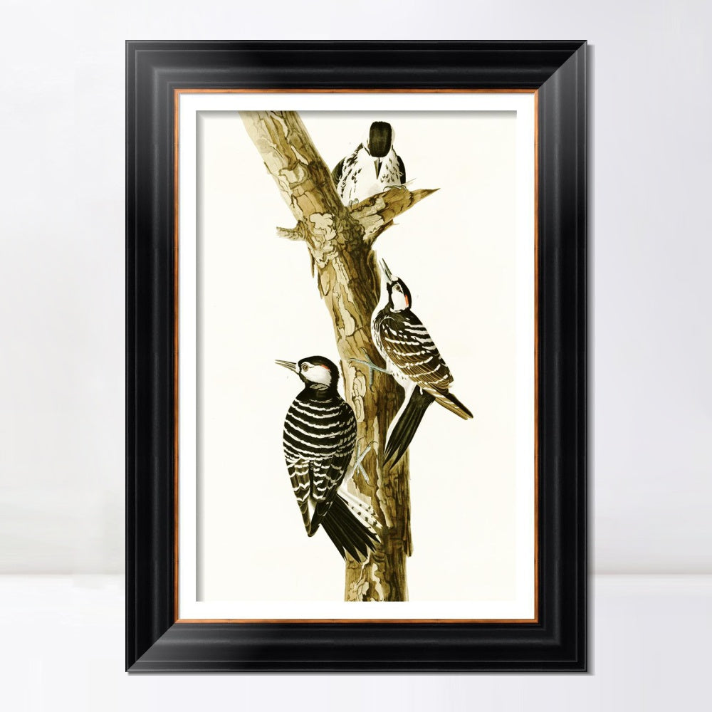 INVIN ART Framed Canvas Art Giclee Print Series#138 by John James Audubon  Home Office Wall Art Decorations