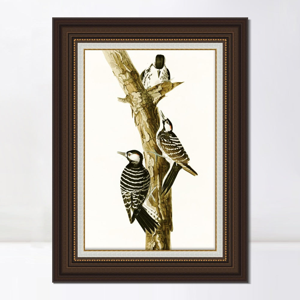 INVIN ART Framed Canvas Art Giclee Print Series#138 by John James Audubon  Home Office Wall Art Decorations