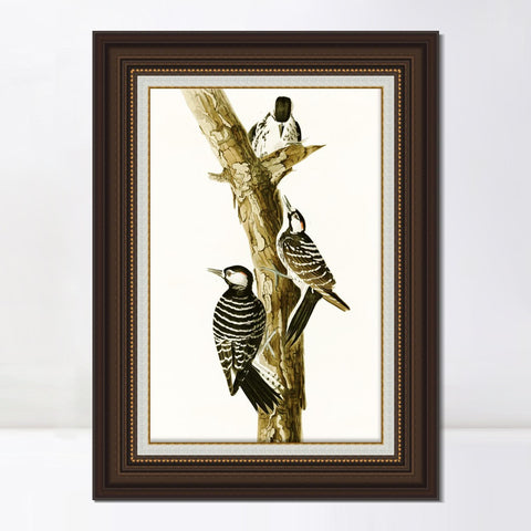 INVIN ART Framed Canvas Art Giclee Print Series#138 by John James Audubon Living Room Home Office Wall Art Decorations