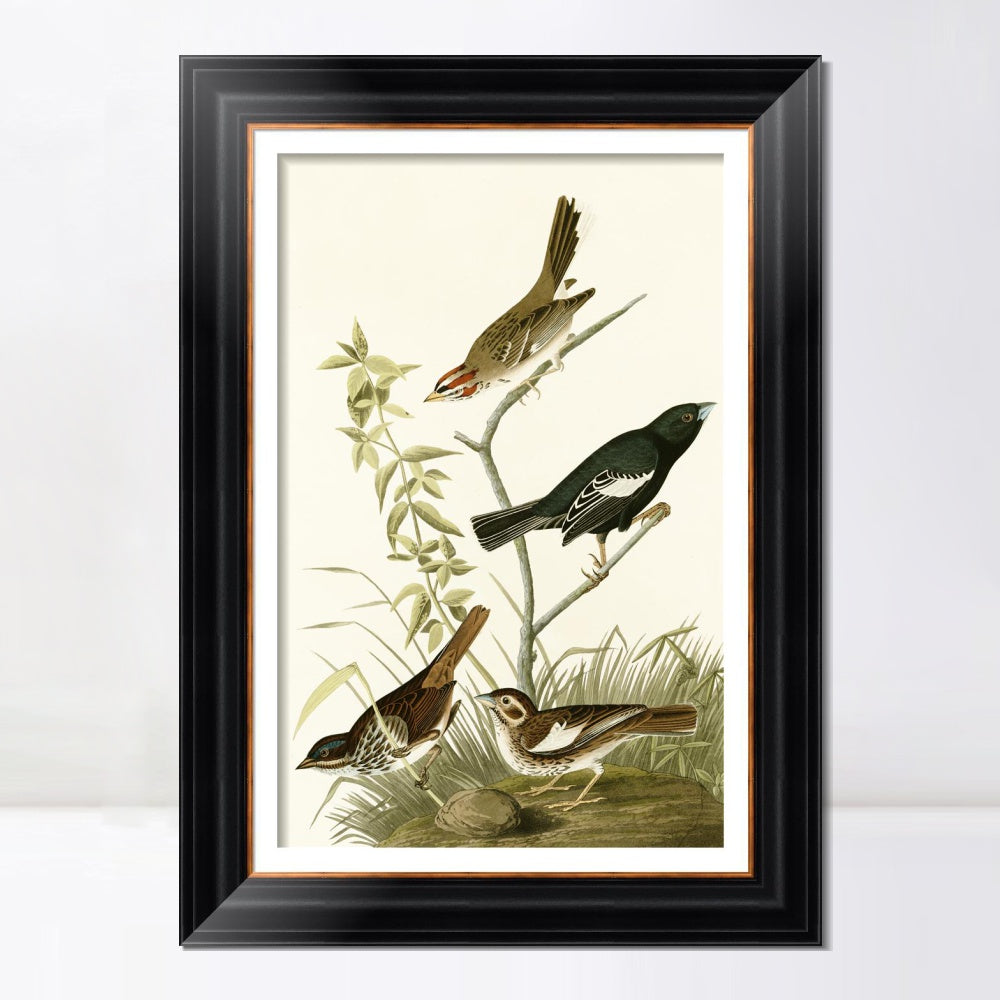 INVIN ART Framed Canvas Art Giclee Print Series#139 by John James Audubon  Home Office Wall Art Decorations