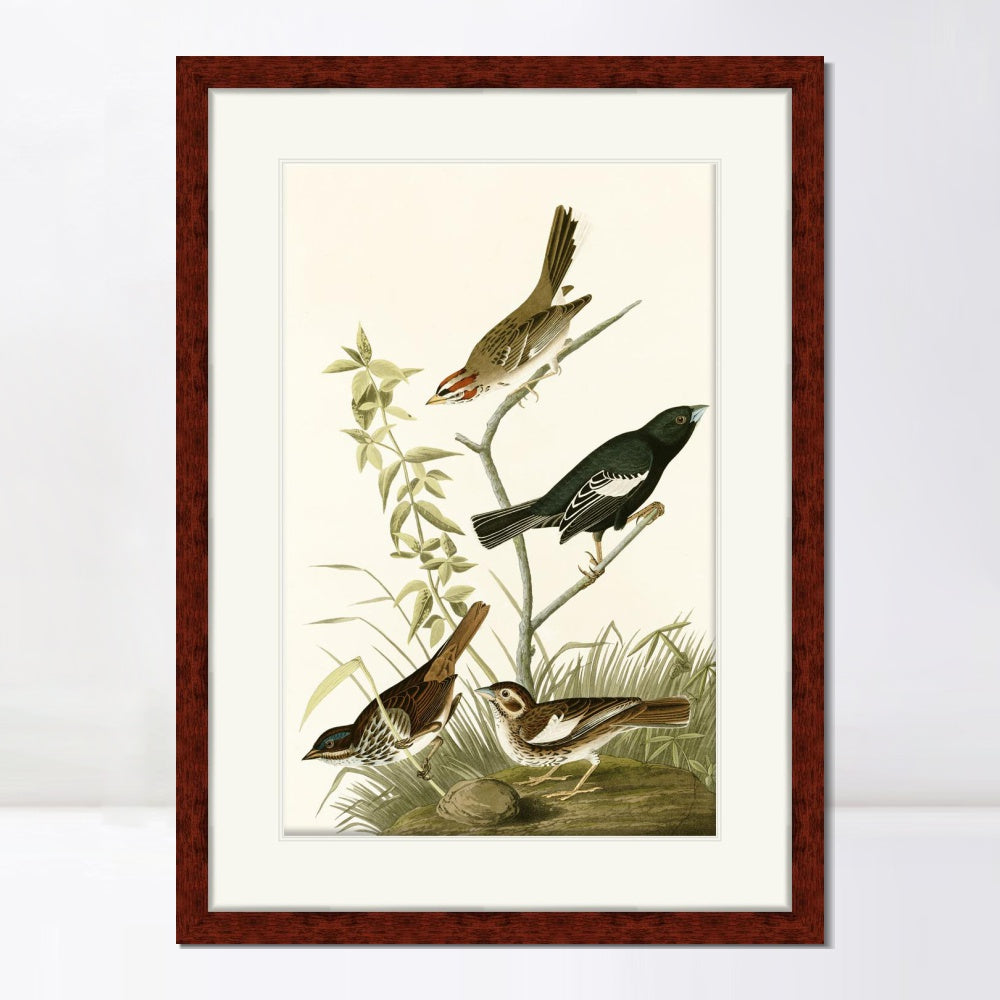 INVIN ART Framed Canvas Art Giclee Print Series#139 by John James Audubon  Home Office Wall Art Decorations